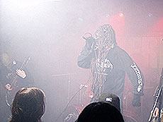 The Berzerker